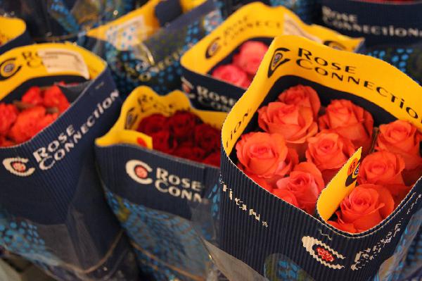 Сколько стоит перевезти цветы из Иваново в Кинешму