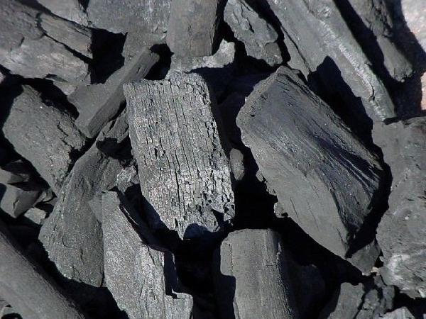 Перевезти уголь древесный в бумажных мешках из Ула. партизанская в Улицу федору абрамову