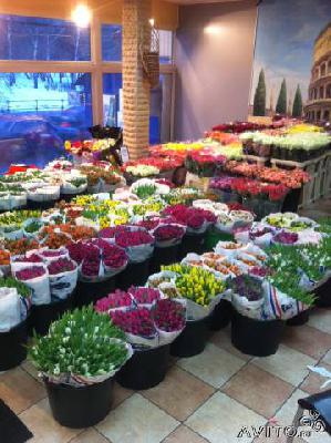 Перевозка цветы из голландии - тюльпаны из Москвы в Красногвардейское