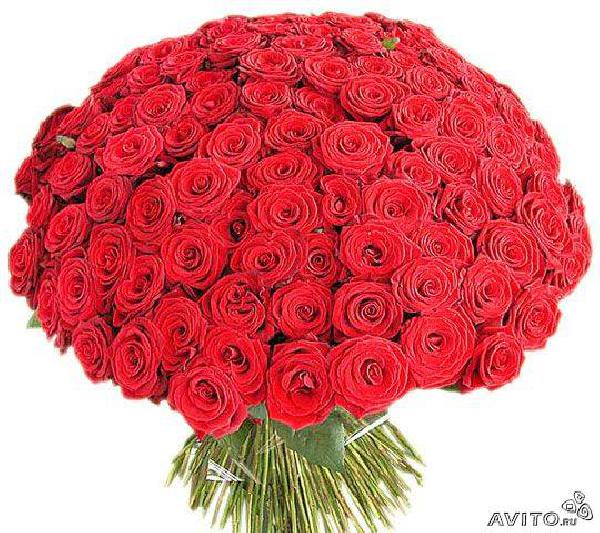 Перевезти 101 красная роза (60 см), буке из Москвы в Садоводческое товарищество n34
