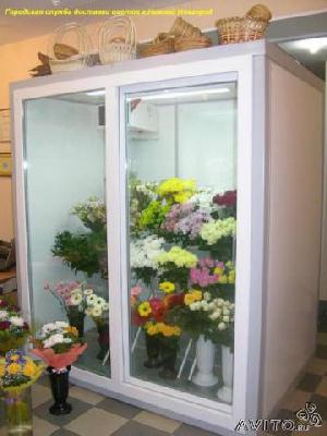Доставка холодильник для цветов со стек из Садоводческого товарищества n19 в Дубраву