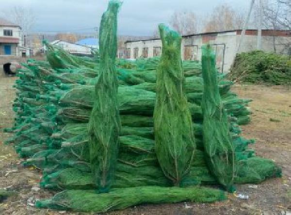 Перевезти новогодние елки (деревья) дешево из Неверкино в Орск