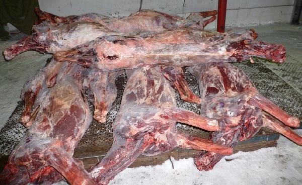 доставка мяса недорого догрузом из Тазовского в Новосибирск