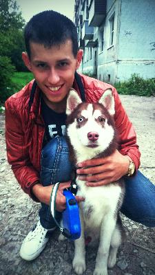 Доставка собак из Тейково в Ростов-на-Дону