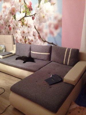 Доставка дивана в квартиру из Калининграда в Ярославль