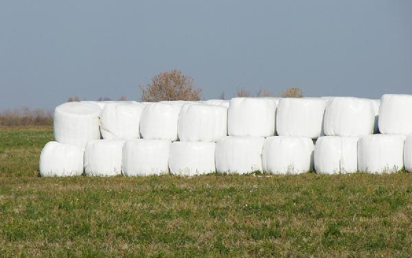Перевезти 11 тонн сену (1 рулон 250-300 кг.) из Родовое в Сертолово