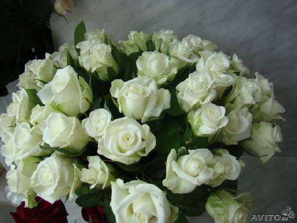Доставка розы из Ростова-на-дону в Мендяново