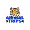 animal trips