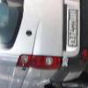 omina210