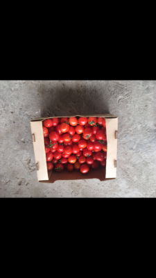 Перевезти помидоры из Быкова в Долгопрудный