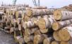 Грузоперевозки на газели дров берёзовых дорого догрузом из Верхней Синячихи в Петрокаменское