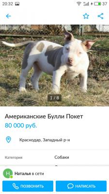 Транспортировка собаки  автотранспортом из Россия, Зеленограда в Украина, Киевский