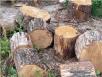 транспортировать дрова цена догрузом из Каменска-Шахтинского в Химки
