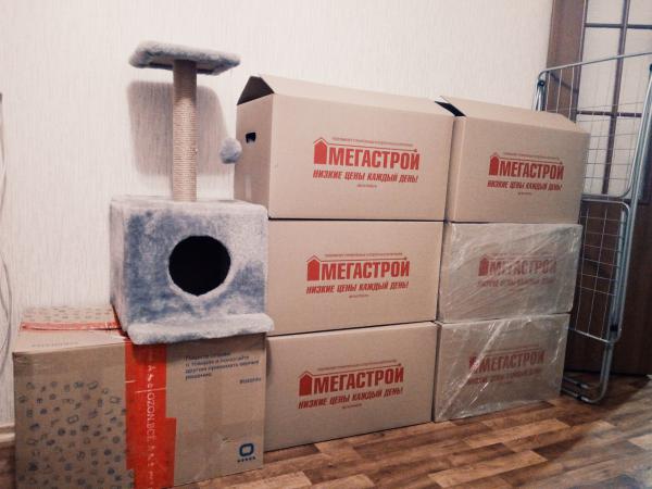 Заказ грузового автомобиля для доставки вещей : Личные вещи (коробки), Личные вещи (коробки), Хрупкий груз (коробка), Личные вещи (коробка) из Ульяновска в Санкт-Петербург