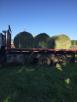 Грузоперевозки 45 тонн сены В рулонах По 450-500 кг из Ревды в Югорск