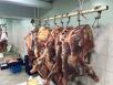 Доставка говядины охлаждённой в четвертинах из Казани в Наро-Фоминск