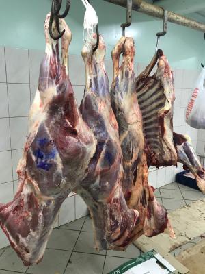 Доставка говядины охлаждённой в четвертинах из Казани в Наро-Фоминск