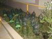 Доставка вещей : Стеклянные емкости из Буя в Сочи