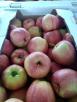 Перевозка яблок свежих из Назрани в Санкт-Петербург