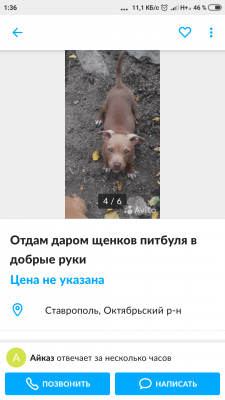 Отвезти собаку  автотранспортом из Ставрополя в Мекена-Юрт