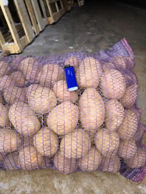 Доставка картофеля из Ижевска в Пятигорск