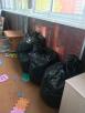 Грузоперевозки попутно из Перми в Москву