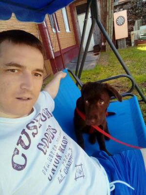Транспортировать собаку  недорого из Краснокамска в Барнаул