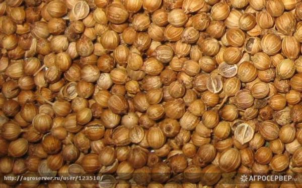 Перевезти зерно и семена (в упаковке) из Тимашовки в Астара Азербайджан