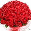 Доставить Розы , букет из роз из Санкт-Петербурга в Иваново