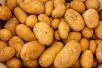 Перевезти картофеля из Углича в село Бронница