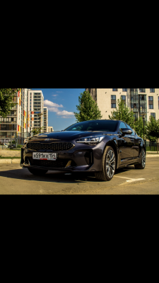 Стоимость перевозки Kia Optima