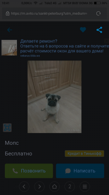 Услуги по доставке собаки  из Калуги в Санкт-Петербург