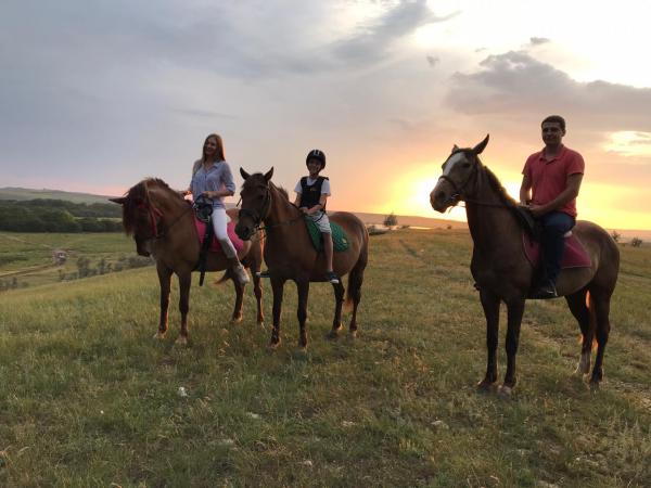 Отвезти спокойные лошади! недорого из Ставрополя в Нефтеюганск