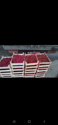 Перевезти ягоды из Сургута в Пангоды