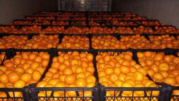 Перевозка мандарина из Грузия, Батуми в Казахстан, Нура-Султана