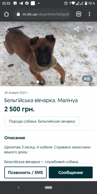 Перевезти собаку  В клетке недорого из Украина, Полтавы в Азербайджан, Баку