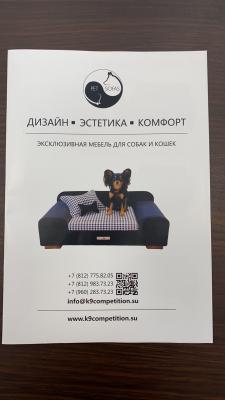 Отправка мебели : Детский диван из Россия, Санкт-Петербурга в Италия, Бари