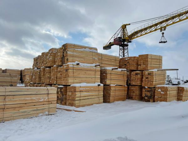 Сколько стоит транспортирвока шпал деревянных, новых непропитанных из Стрелки в Нижнюю Пойму