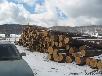 Перевозка леса кругляка из Снт мостовика в Уфу