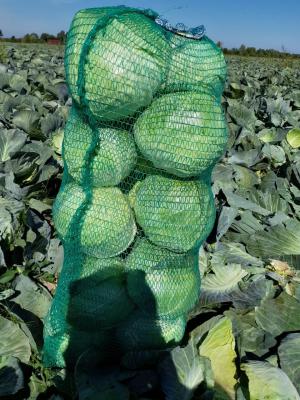 Перевозка свежей капусты из Виловатова в Краснодар