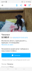 Доставить собаку  из Одинцова в Мурманск