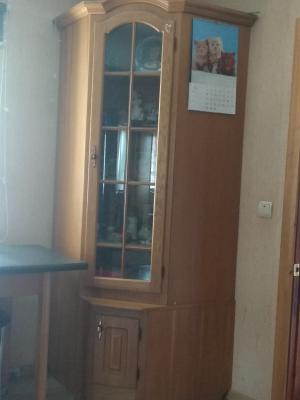 Отправка мебели : Корпусная мебель, Холодильник двухкамерный из Краснослободска в Солнечный