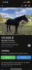 Сколько стоит перевозка лошади недорого из Волгореченска в Красное-на-Волге