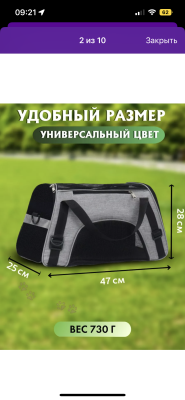 Доставка щенка из Иванова в Йошкар-Олу