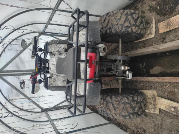 Сколько стоит отправить мопед  из Архангельска в Мурманск