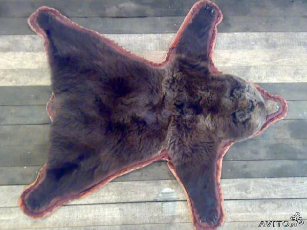 Заказ газели для доставки мебели : шкура медведя из Октября в Серова