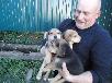 Перевезти собак из г. Донилов в Ульяновскновск
