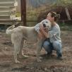Перевозка взрослой собаки  из Набережных Челнов в Нижнекамск