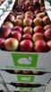 Доставка яблок свежих из Краснодара в Екатеринбург