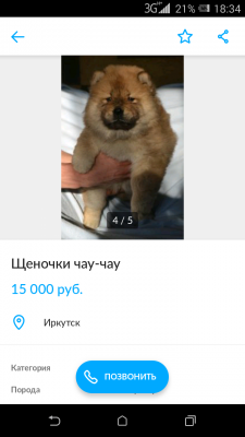 Сколько стоит перевезти собаку  недорого из Иркутска в Улан-Удэ